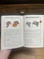 IMG_7429.jpeg