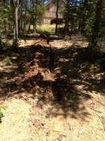 IMG_0321 (480x640).jpg
