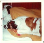 Gypsy 5 72 bed.jpg