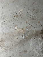 IMG-6695.jpg