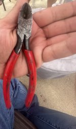 IMG_4982.jpeg