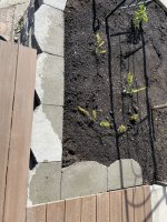 IMG_1083.jpeg