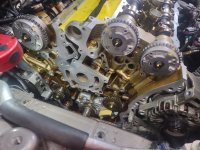 buick81.jpg