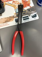 IMG_7269.jpeg