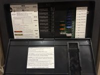 IMG_3382.jpeg