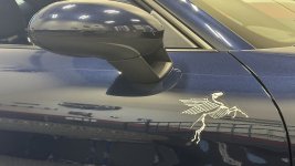 55297927106_09c2ae102f_b.jpg