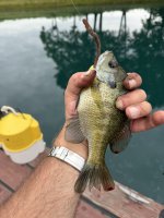 IMG_0946.jpeg
