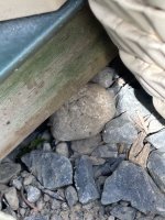 IMG_0834.jpeg