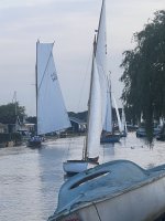 IMG_2351.jpeg IMG_2351.jpeg