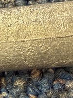 IMG_2790.jpeg