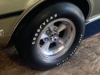 IMG_5880.jpeg