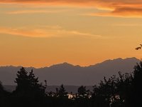 IMG_1129.jpeg