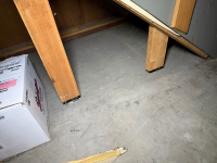 IMG_9378.jpeg