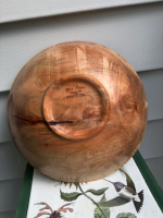 1780498558852.png