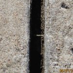 driveway 8 r.jpg driveway 8 r.jpg