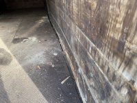 IMG_2799.jpeg IMG_2799.jpeg