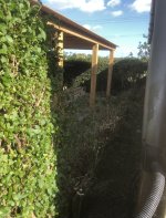 IMG_5640.jpeg