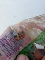 IMG_3338.jpeg