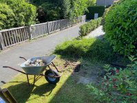 IMG_0571.jpeg