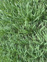 IMG_6585.jpeg IMG_6585.jpeg
