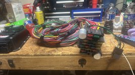 IMG_8498.jpeg