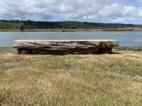 IMG_6812.jpeg
