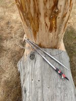 IMG_6826.jpeg