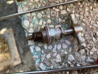 IMG_0660.jpeg