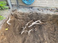 IMG_0717.jpeg