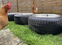 IMG_5707.jpeg