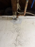 IMG_3377.jpeg IMG_3377.jpeg