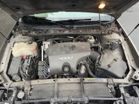 IMG_3047.jpeg