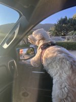 IMG_7674.jpeg