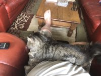 IMG_6095.jpeg