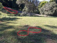 Post #0071f - Photo No. 6.jpg