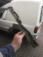 IMG_5661.jpeg