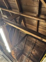 IMG_2519 Medium.jpeg