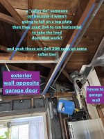 IMG_1284 Medium.jpeg