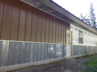 IMGP0596.JPG