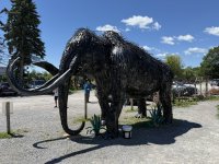 IMG_6017.jpeg