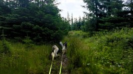 2026-06-25 07.29.48.JPG