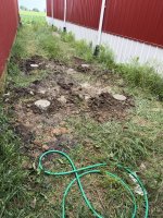 IMG_8382.jpeg IMG_8382.jpeg