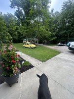 IMG_2947.jpeg