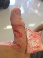 hand 2.jpg
