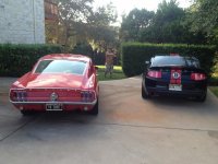 baby back.jpg