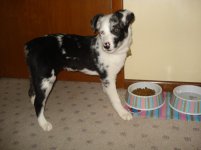 DSC01161.jpg