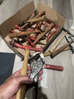 IMG_1388.jpeg