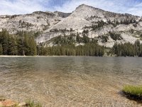 IMG_7525.jpeg