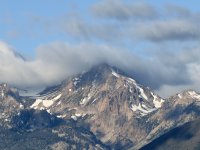 IMG_7621.jpeg