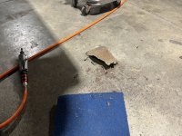 IMG_4296.jpeg